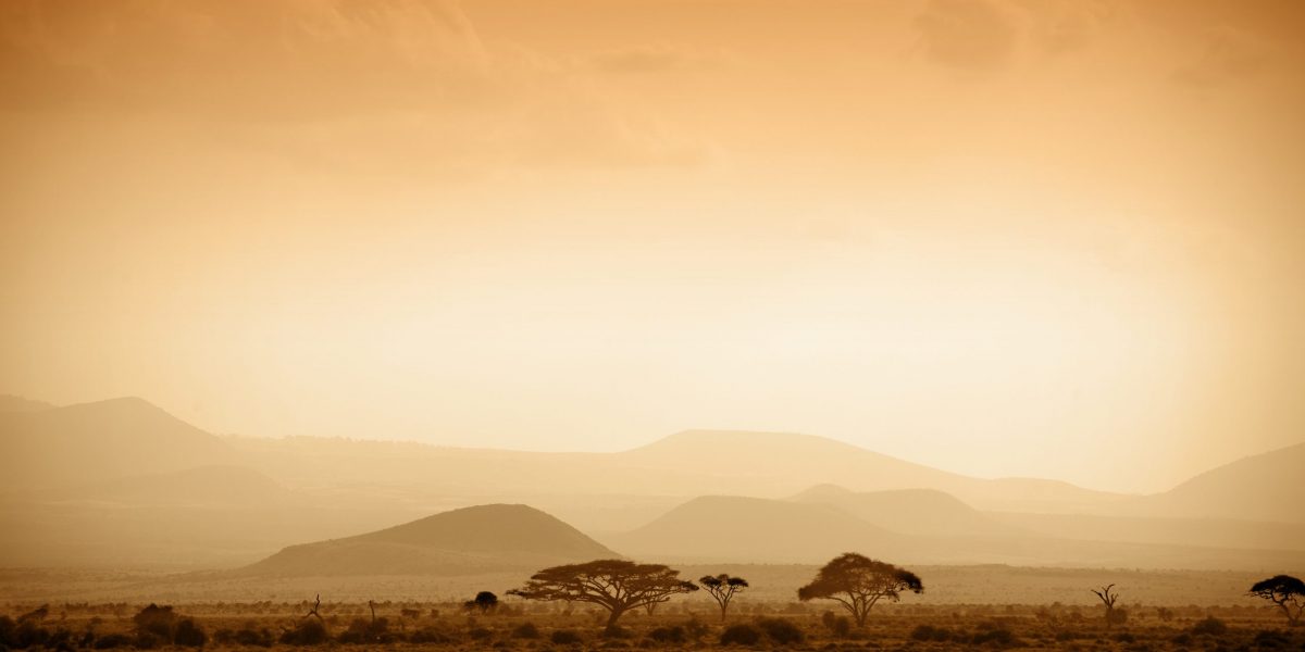 Our Guide’s Top 5 | African Experiences & Encounters from our Experts